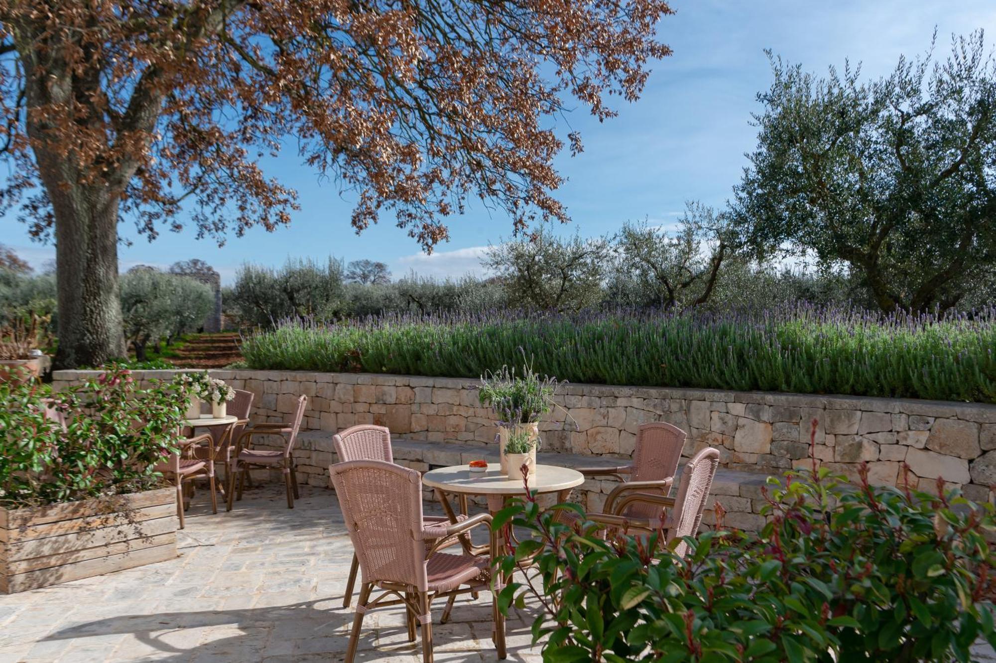 Agriturismo Masseria Aprile Locorotondo Exteriör bild