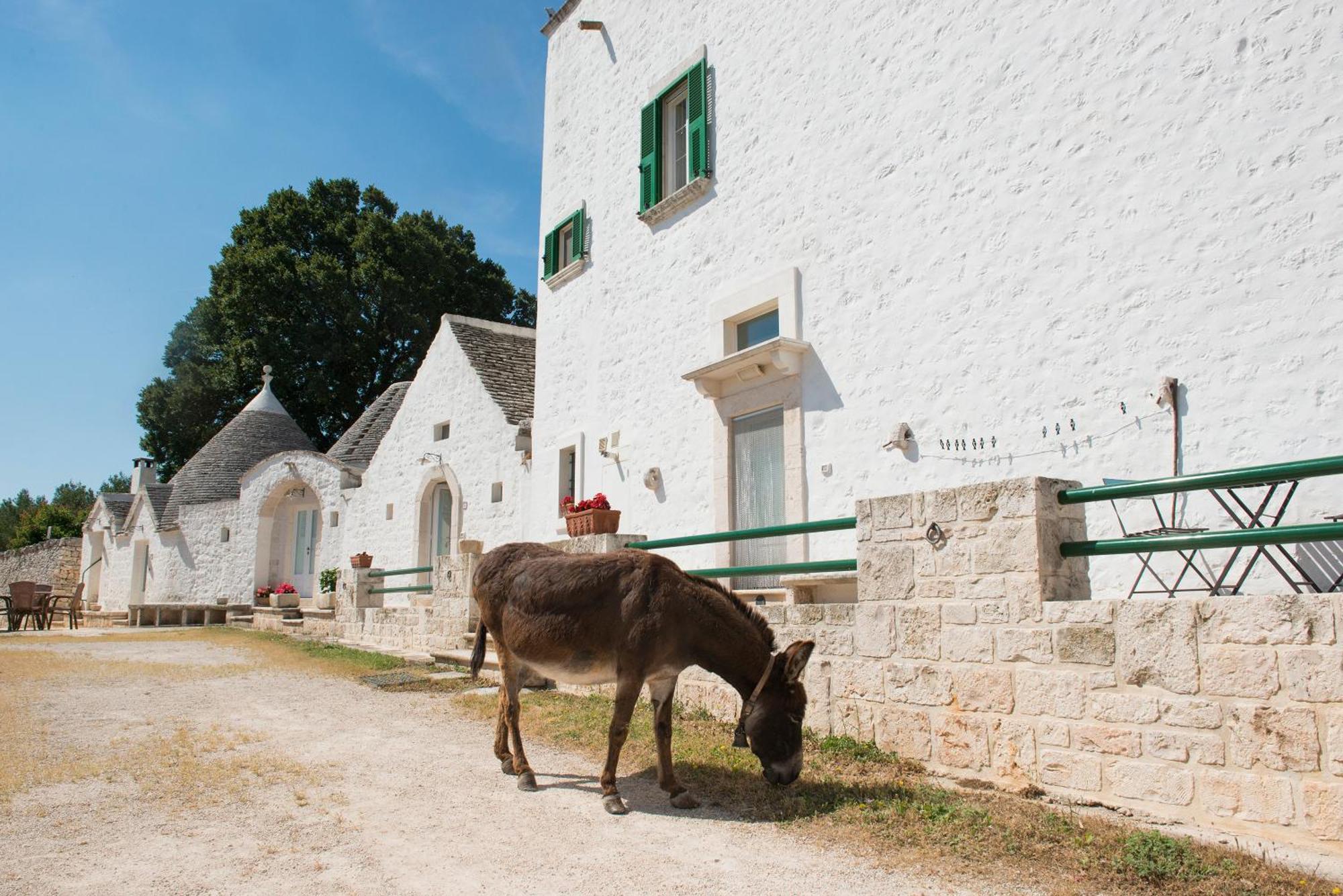 Agriturismo Masseria Aprile Locorotondo Exteriör bild